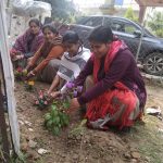 Plantation By St. Xavier's School