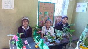 Different types of plants and there usage