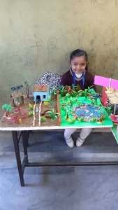 Different Types of Animals project