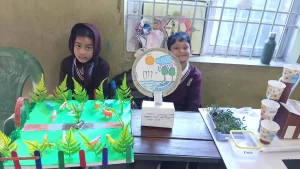 Water Cycle project by class 1 student at St.xavier Remuna